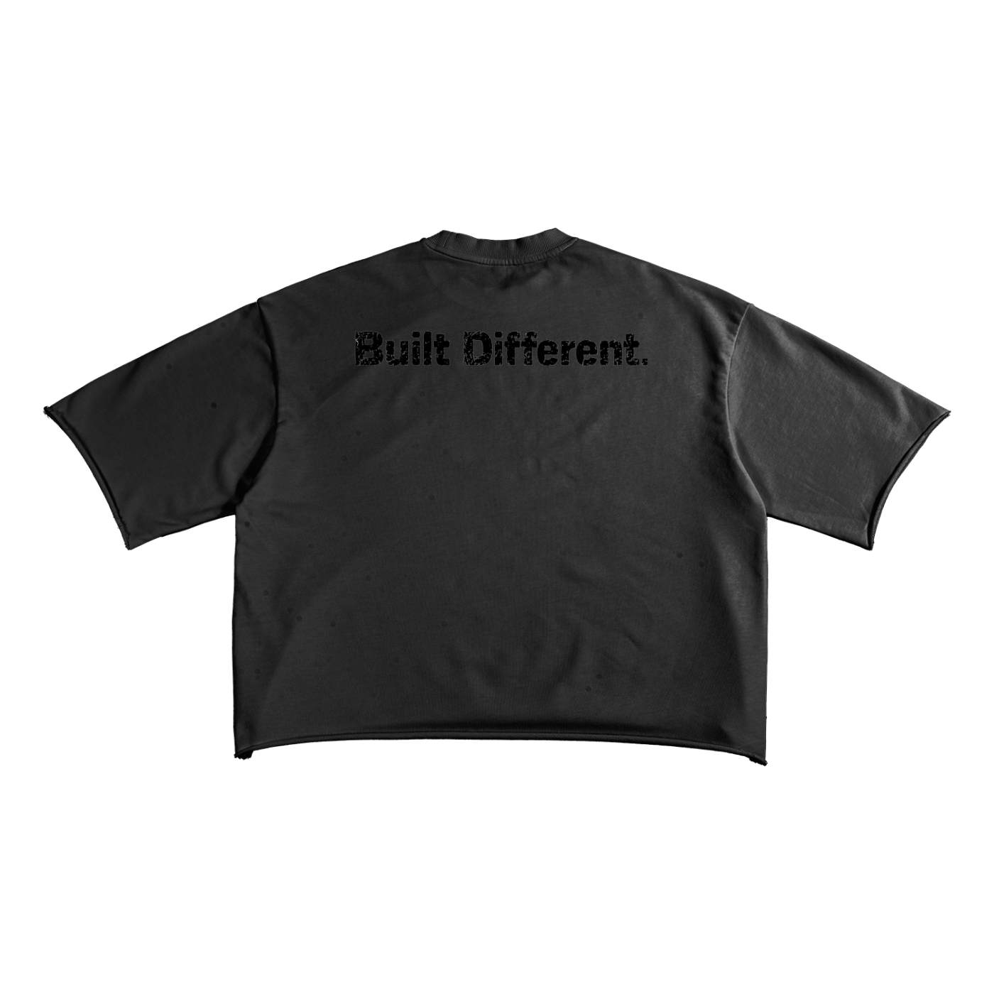 S Tier Raw Edge T-Shirt